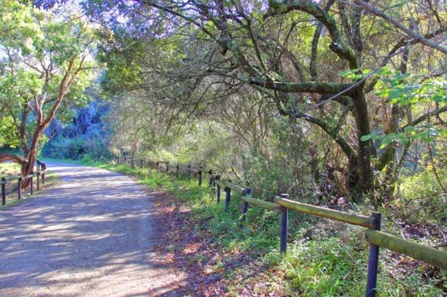 Alkantmooi Private Nature Reserve - Keursee Plettenberg Bay Kültér fotó
